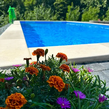 בית נופש Foresta Gradacac